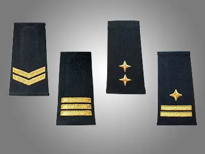 Patelettes