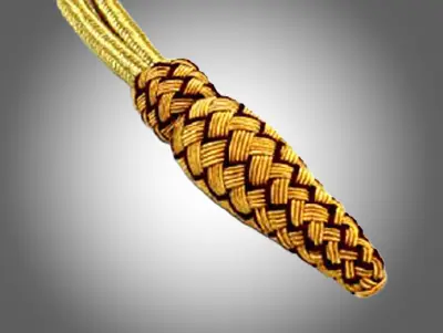 Dragonnes de sabre