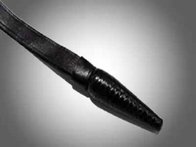 Dragonnes de sabre